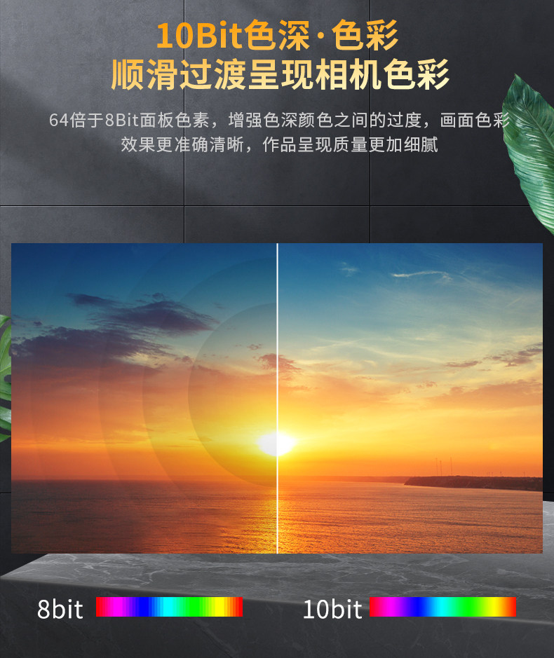 Desview R5II 圖文介紹 03