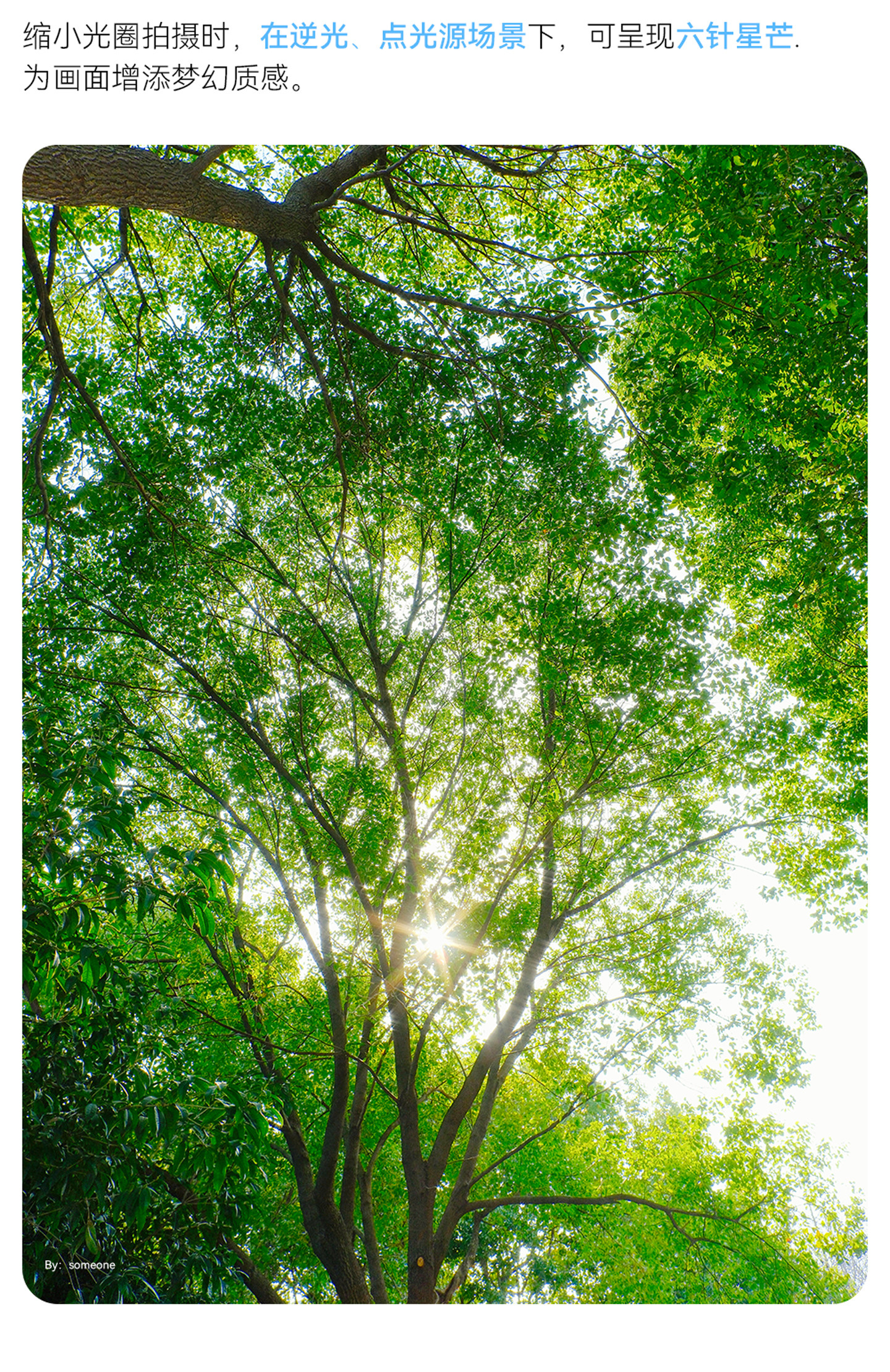 TTArtisan 銘匠 AF 17mm F1.8 Air APS-C Lens 鏡頭 (Sony E) 圖文描述 14