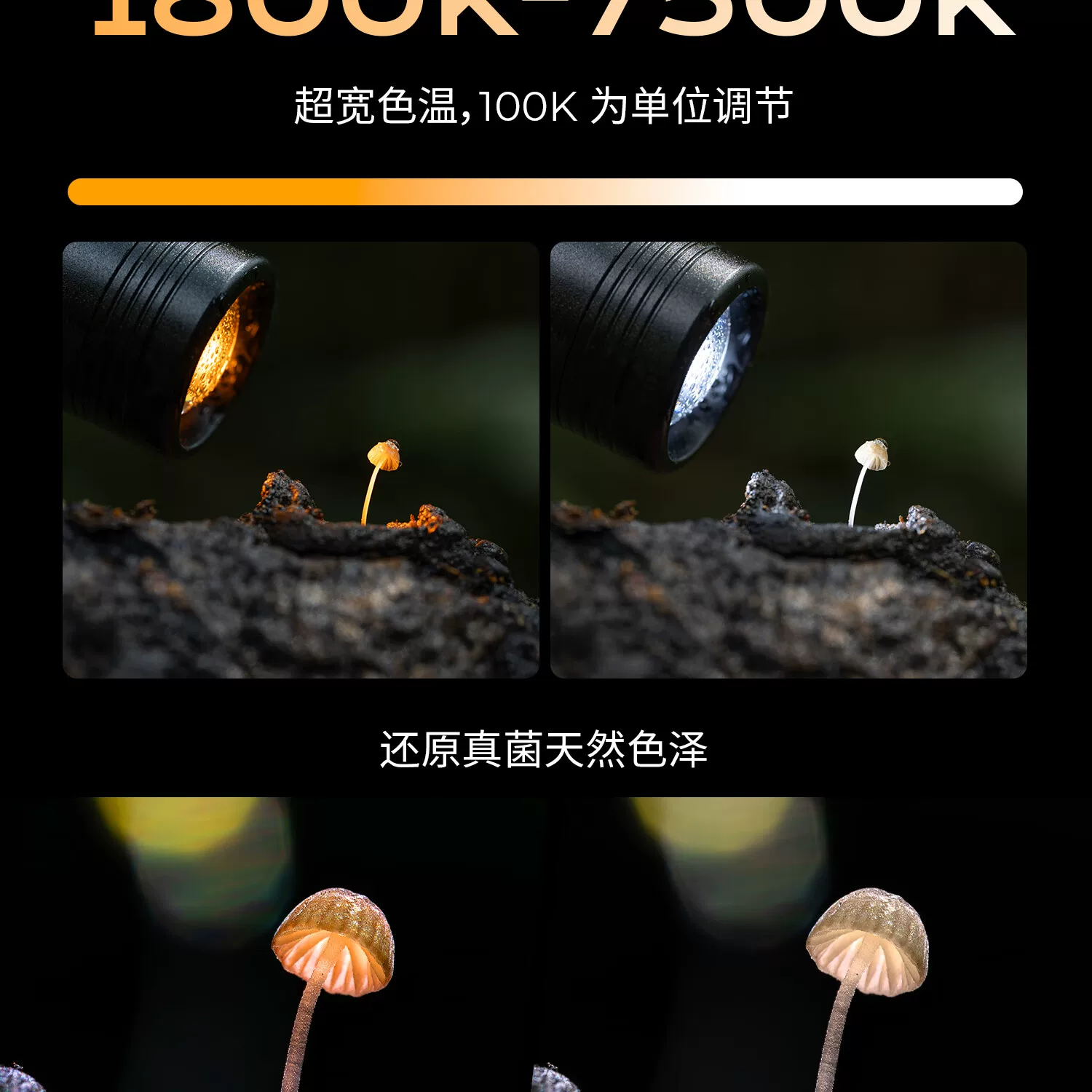SmallRig 6225 RM 01B Mini Macro Photography LED Light 微距補光燈 圖文描述 10
