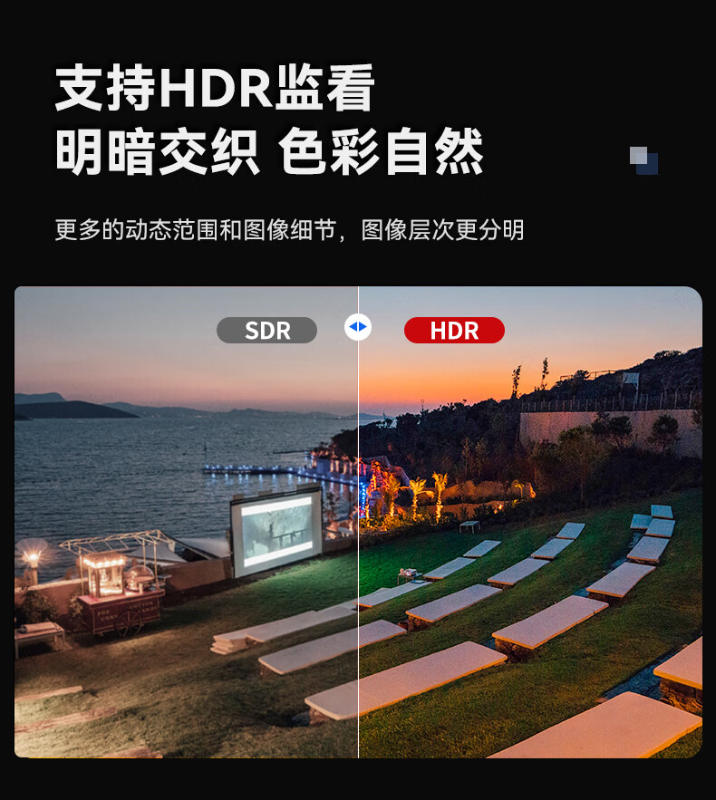 Desview D21-HB 圖文介紹 10