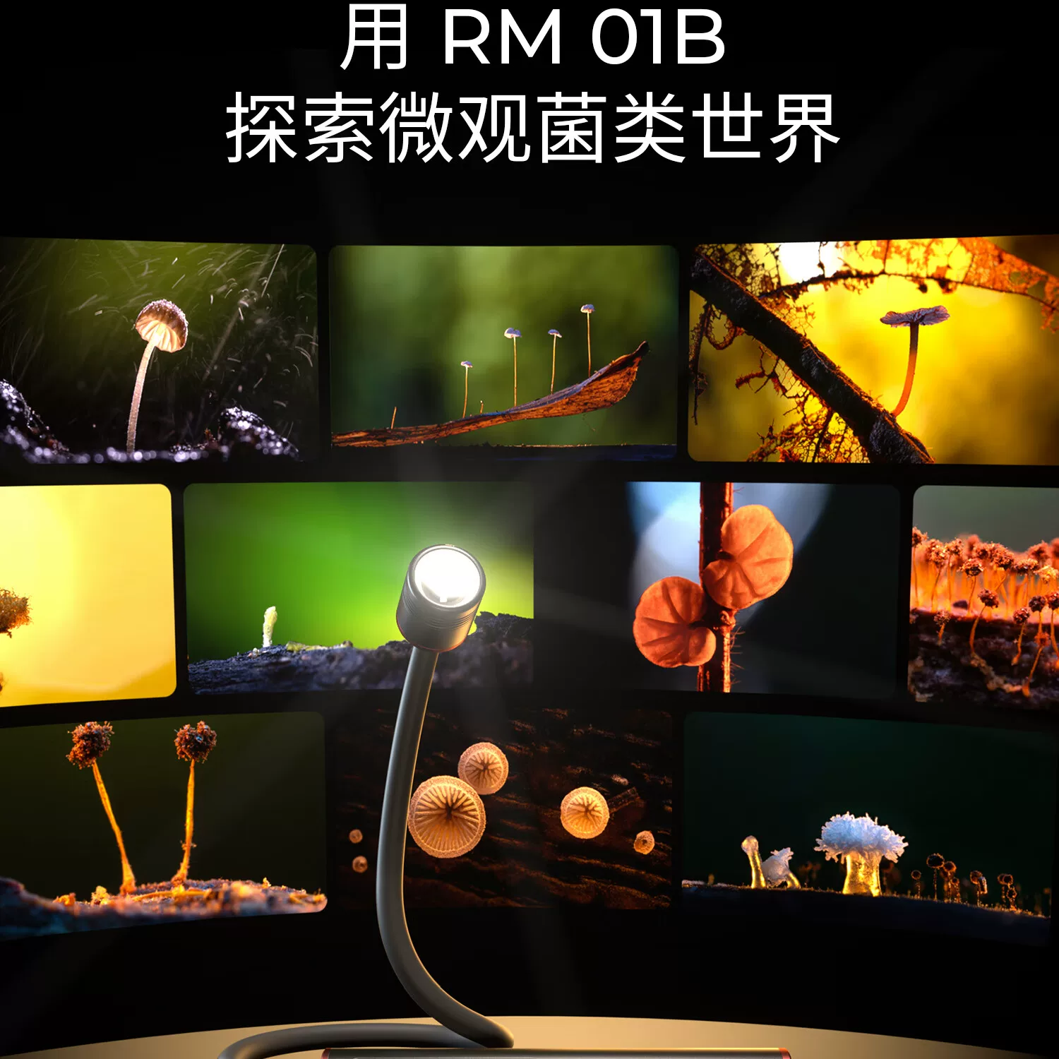 SmallRig 6225 RM 01B Mini Macro Photography LED Light 微距補光燈 圖文描述 04