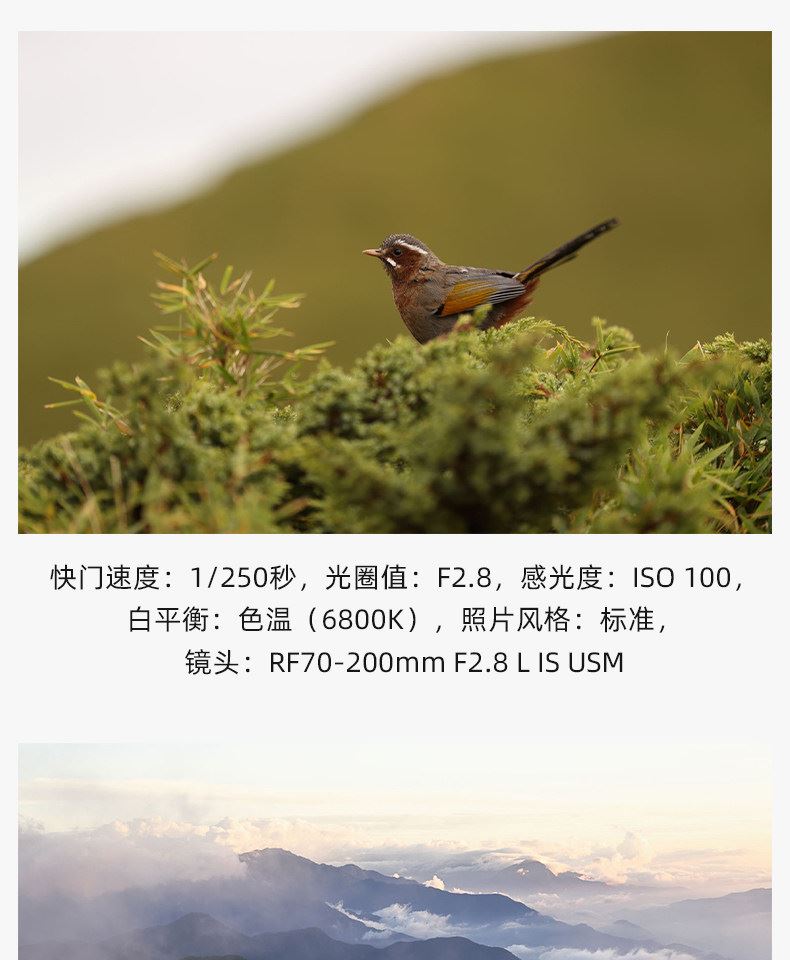Canon EOS R6 Mark III 連 RF24-105mm F4 L IS USM 鏡頭套裝 圖文描述 25