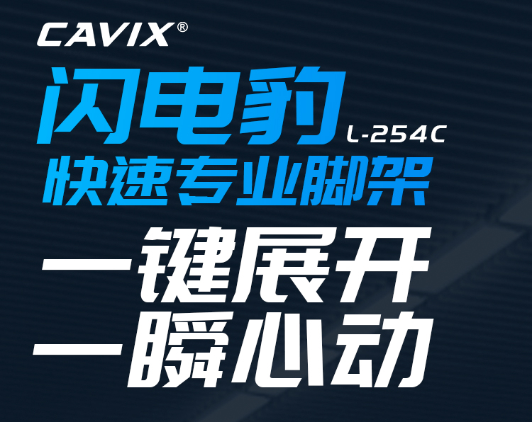 cavox-lc254c-04.jpg