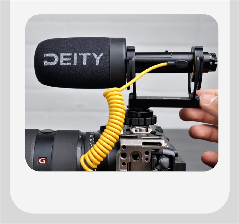 deity-v-mic-d4-29.jpg