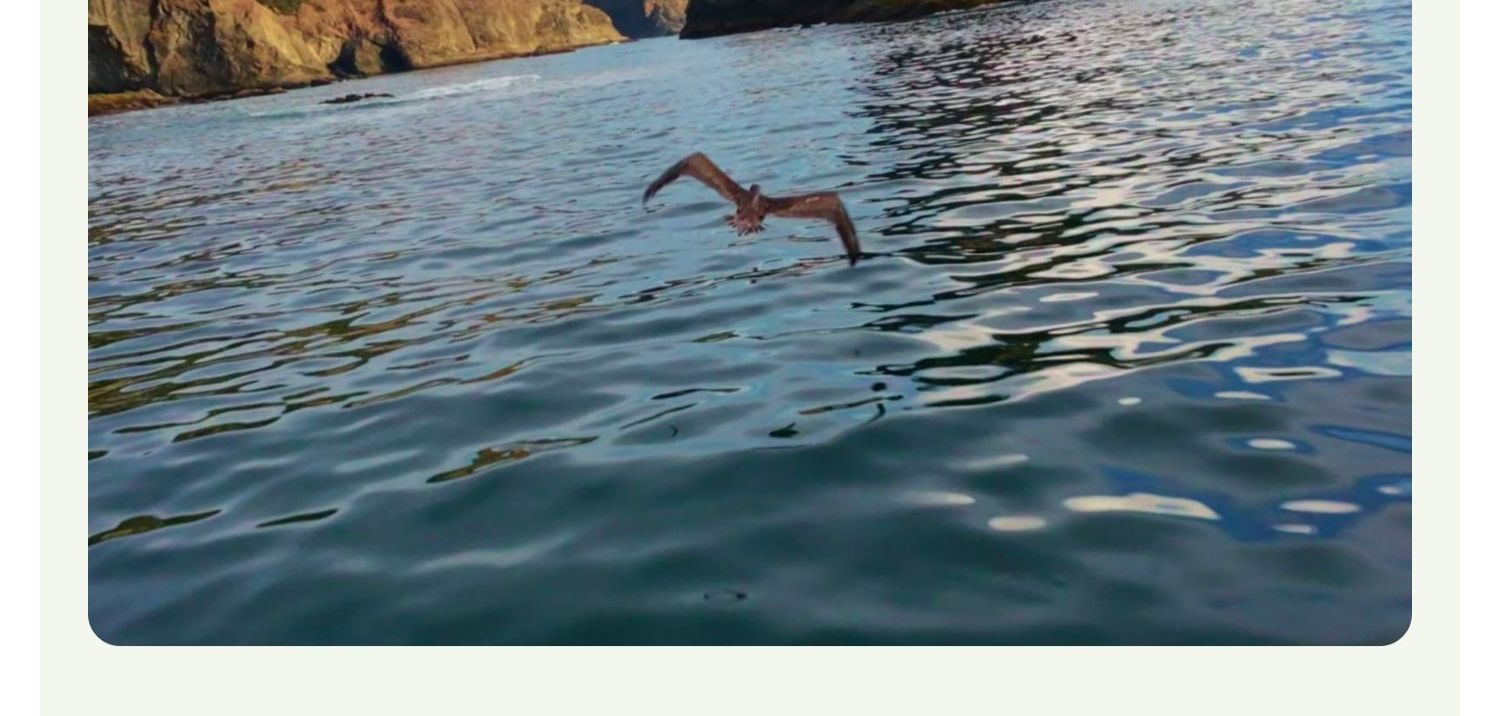 dji-neo-2-28.jpg dji-neo-2-28.jpg