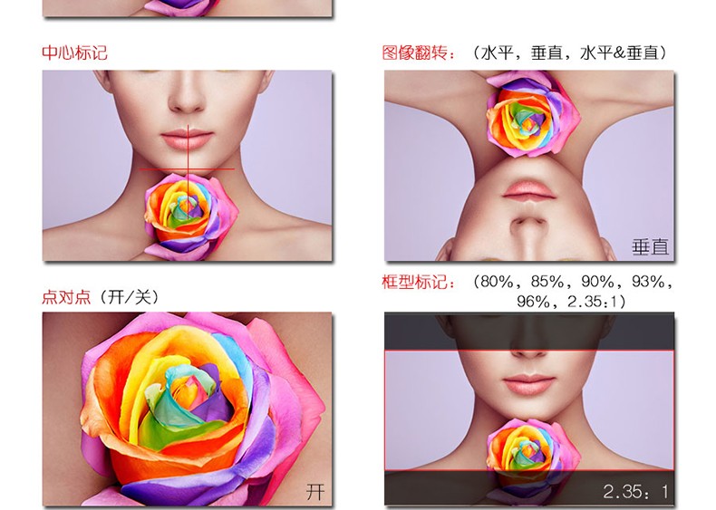 feelworld-p1739hsd-09.jpg