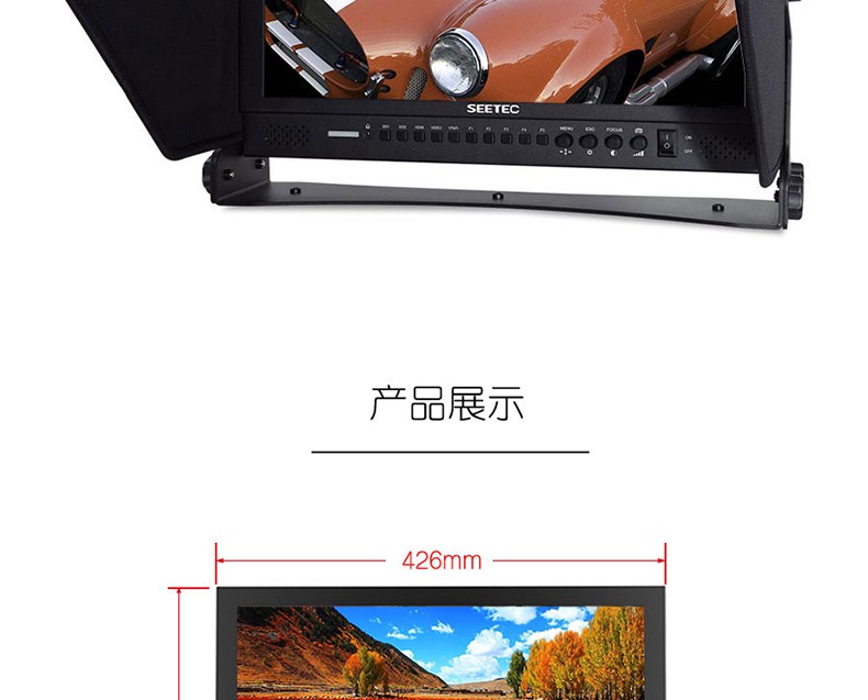 feelworld-p1739hsd-14.jpg