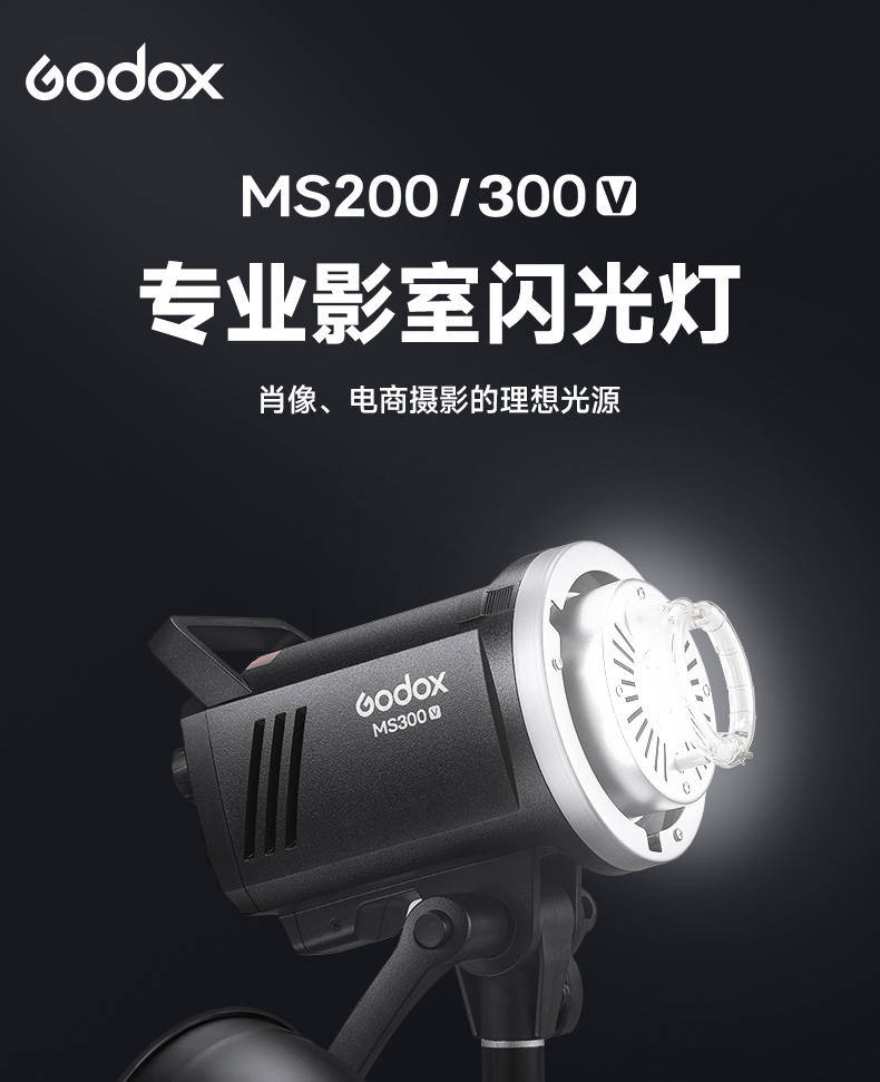 godox-ms300-v-27.jpg