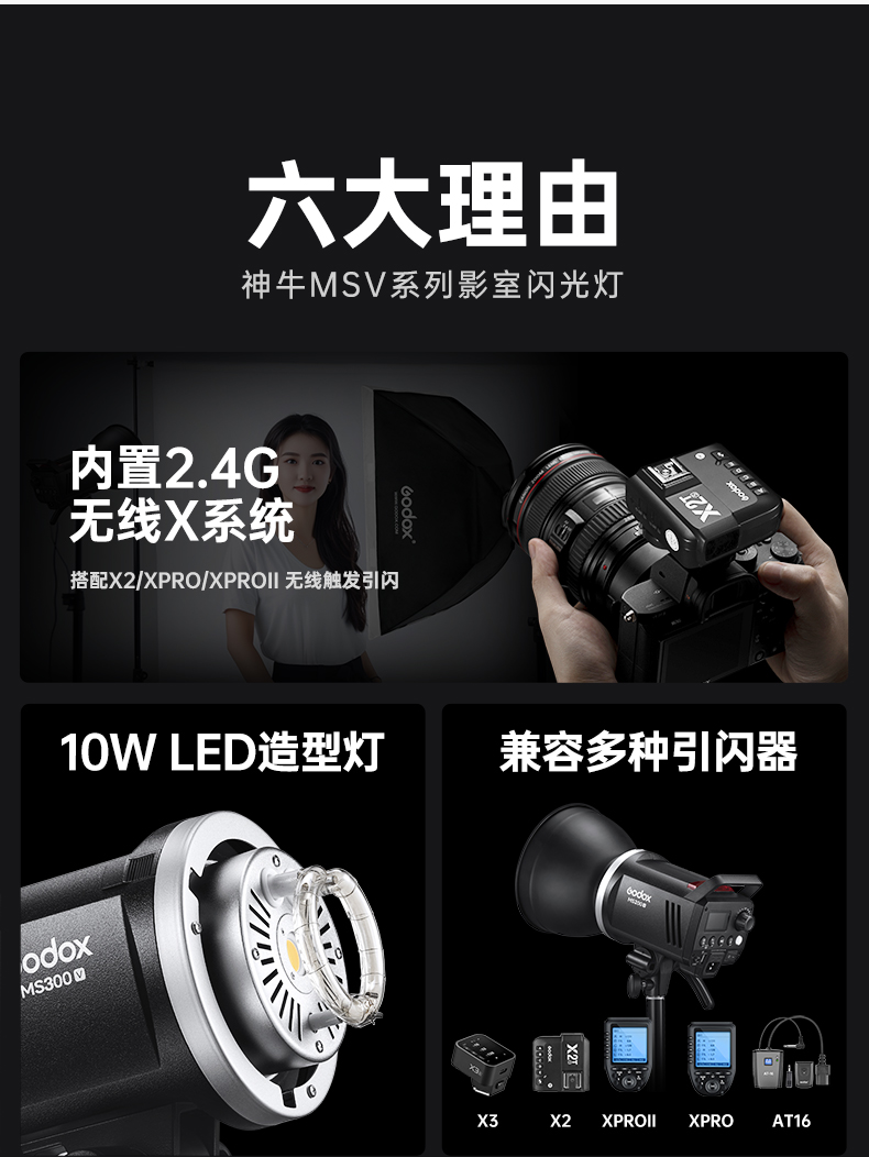 godox-ms300-v-31.jpg