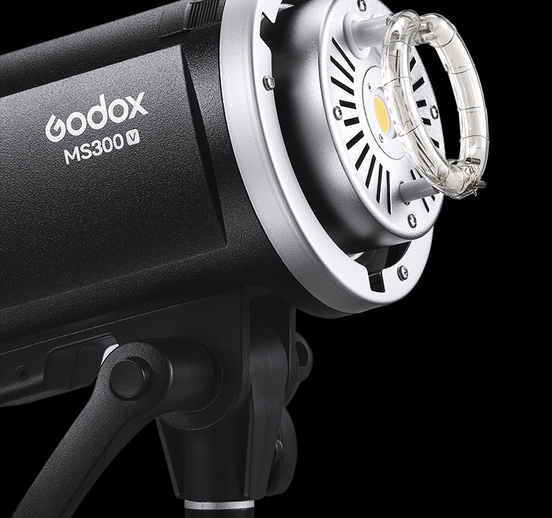 godox-ms300-v-36.jpg