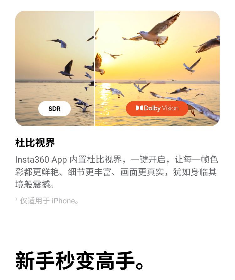 insta360-flow2-19.jpg