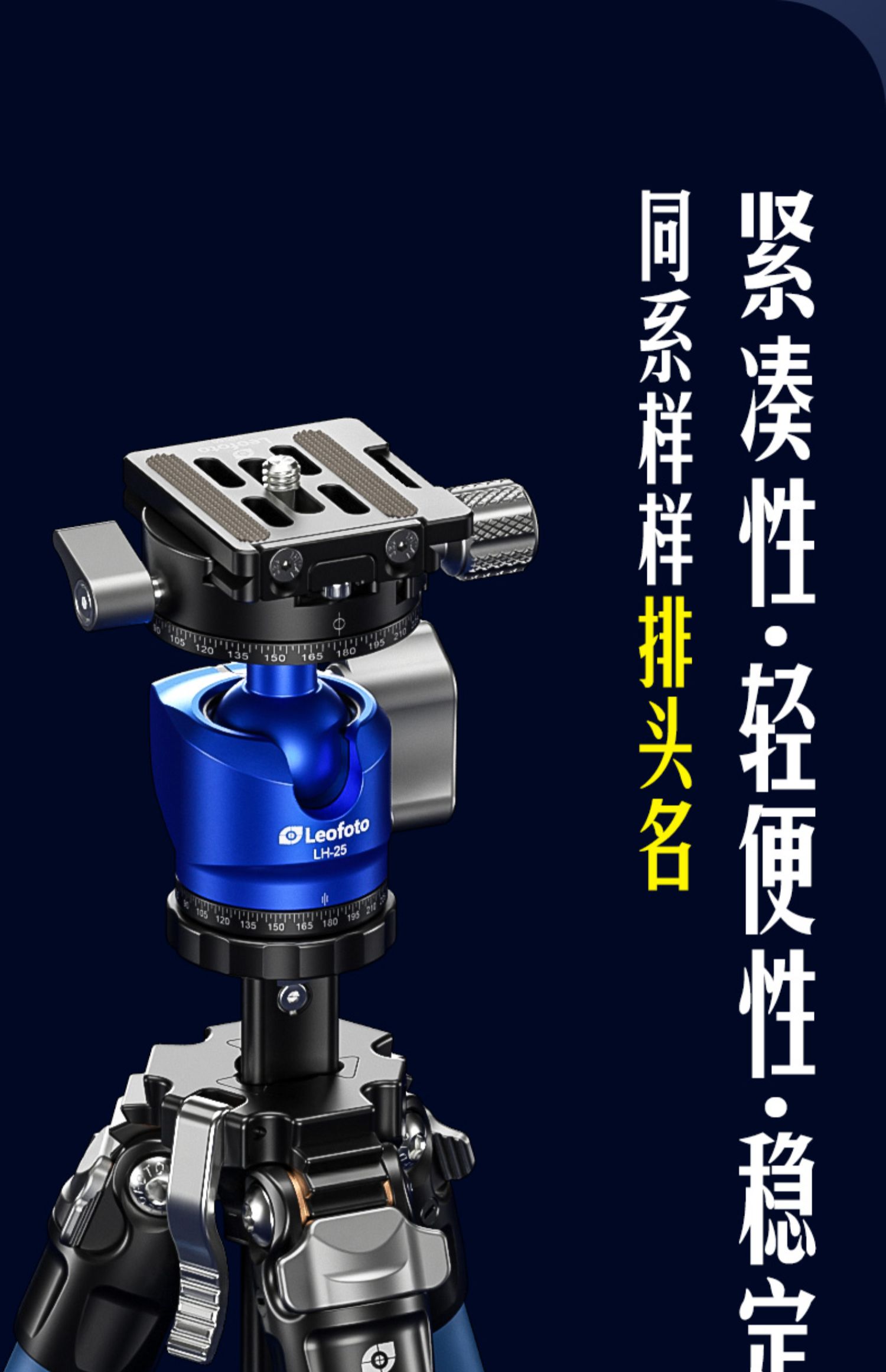 マラソン限定！ポイント5倍 レオフォトLeofoto LY-224C+LH-25R (Mr.Y