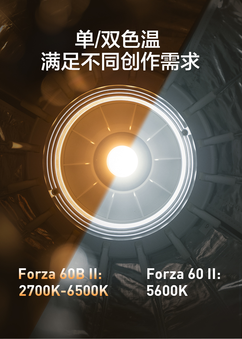 nanlite-forza-60-ii-34.jpg