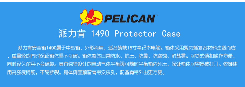 pelican-1490-06.jpg