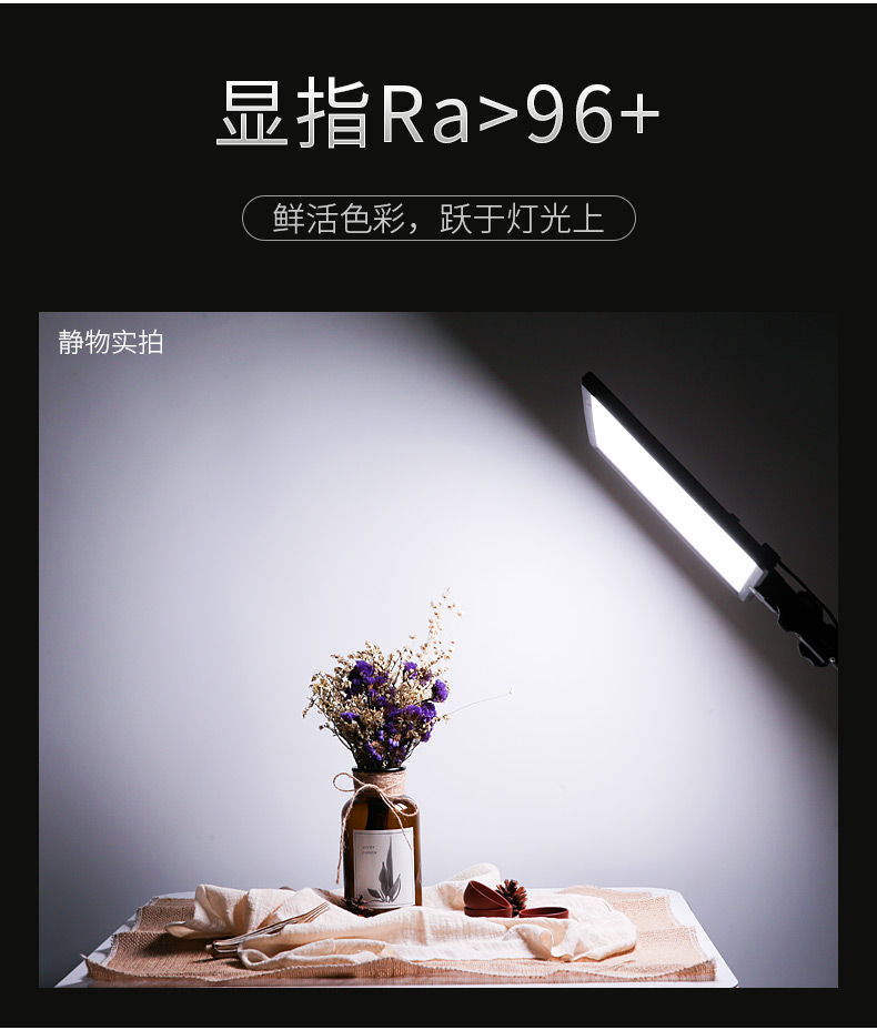 pixelp50led10.jpg
