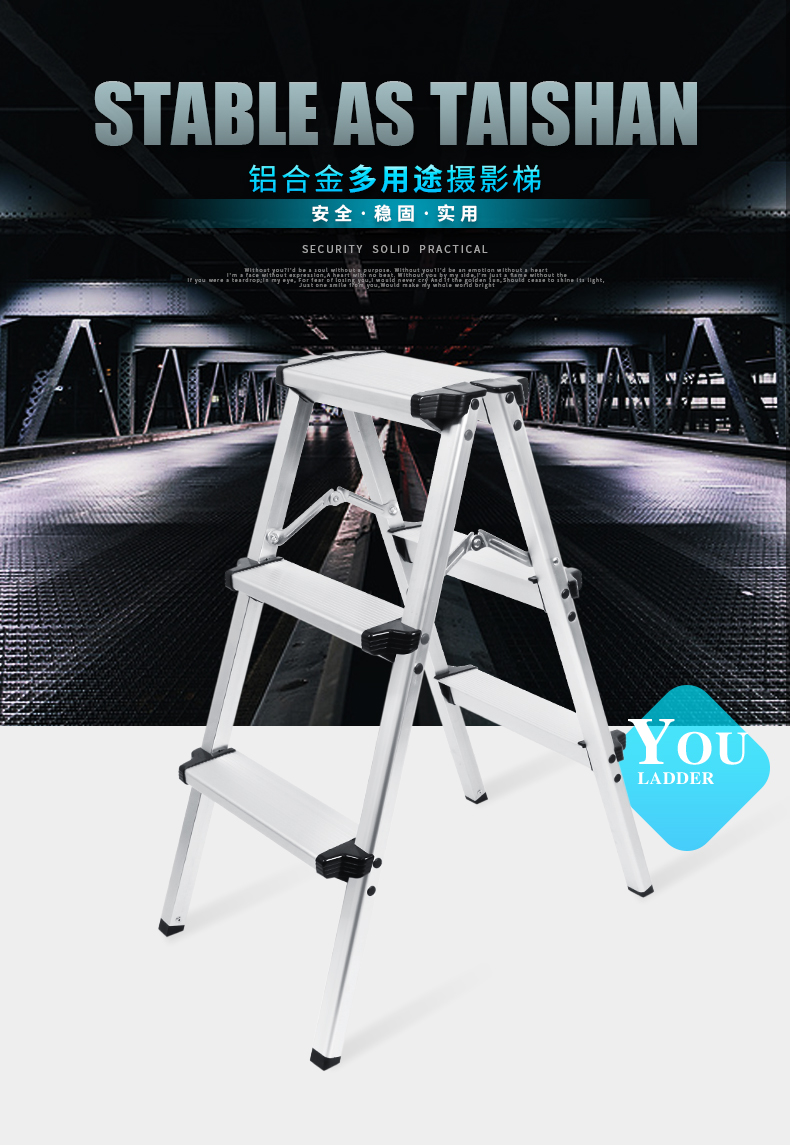 selens-ladder-01.jpg