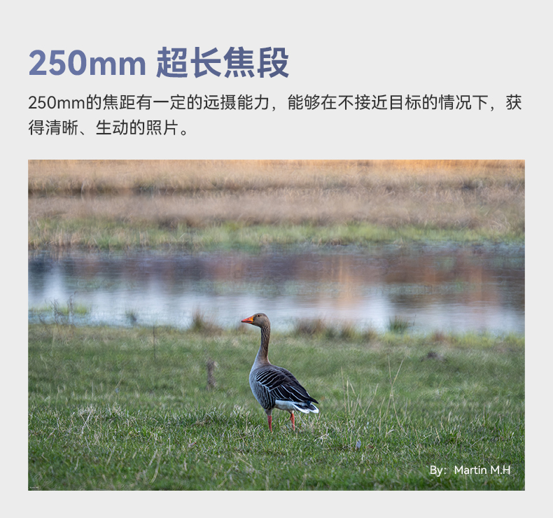 ttartisan-250mm-f5-6-reflex-lens-m42-35.jpg
