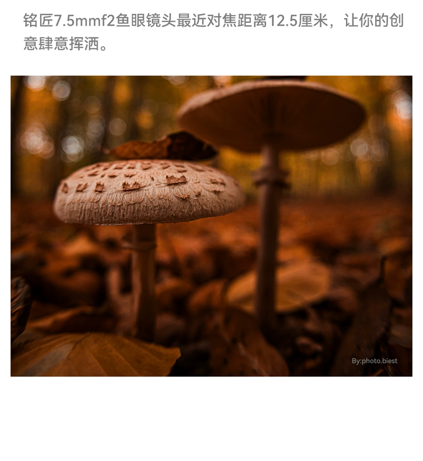 TTArtisan 銘匠 7.5mm F2 魚眼鏡頭 - Sony E 銀色 圖文描述 10