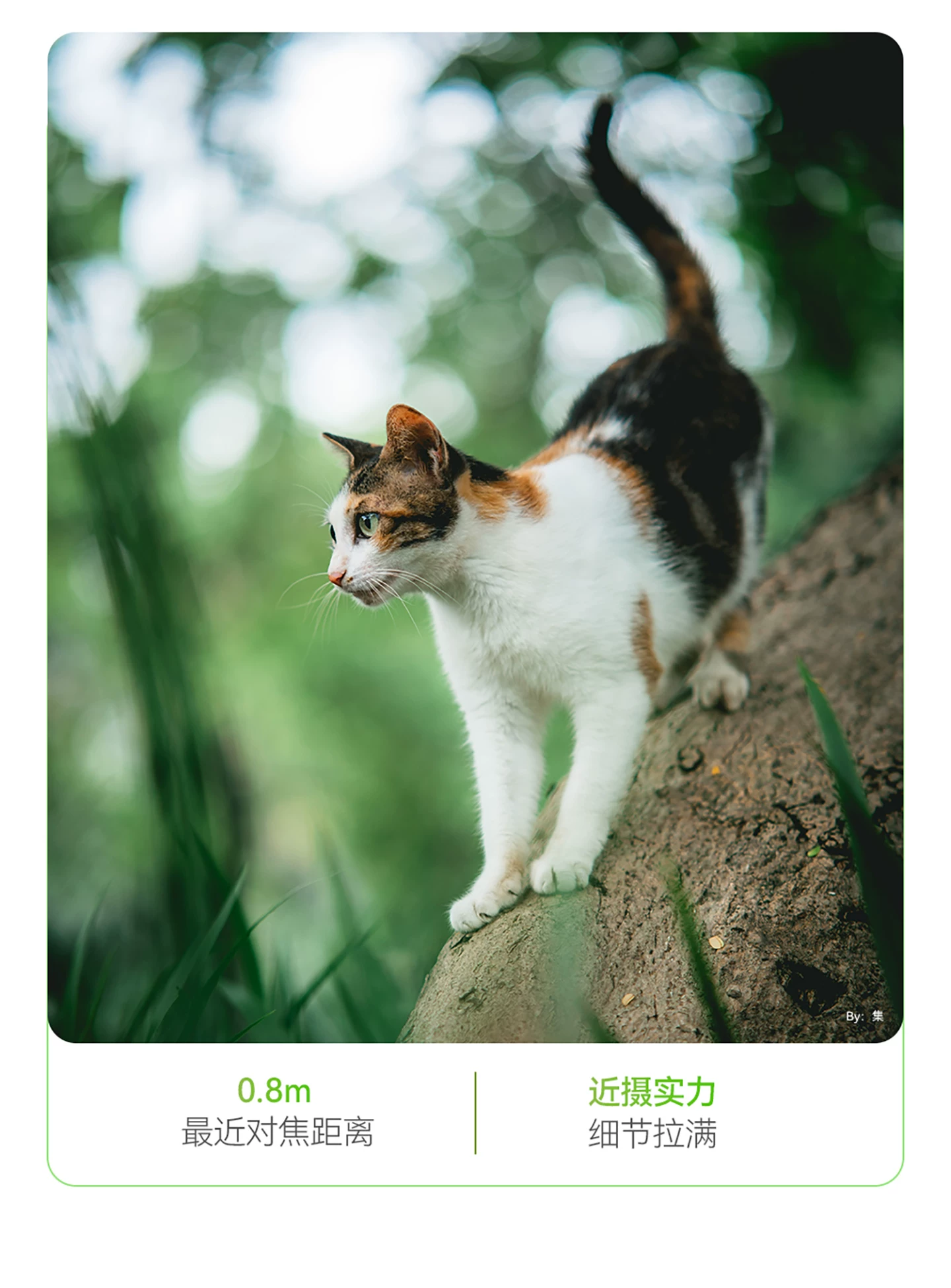 TTArtisan 銘匠 AF 85mm F1.8 Neo 自動對焦鏡頭 - L-mount 黑色 圖文描述 21