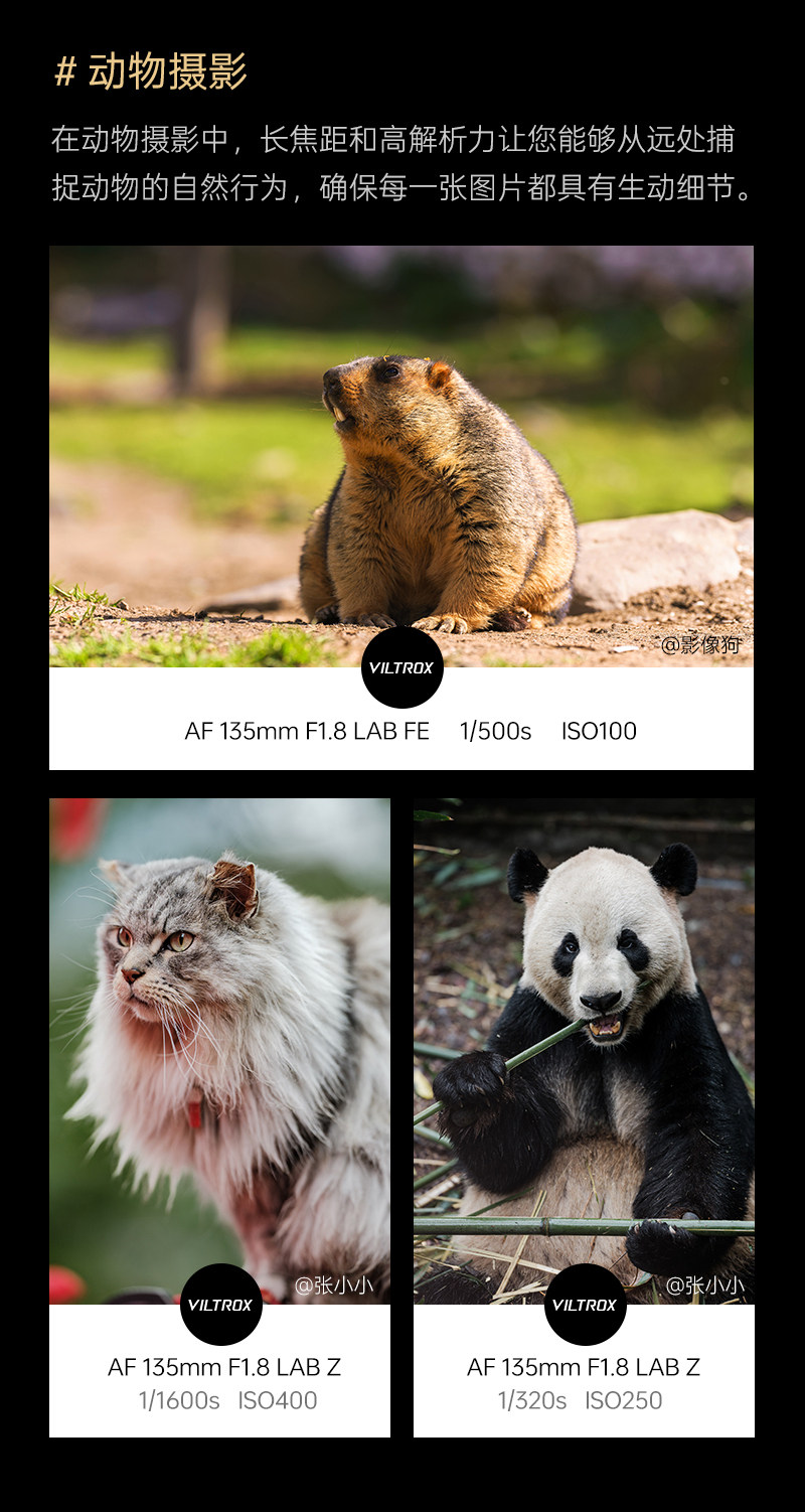 viltrox-af135mmf18lab-21.jpg