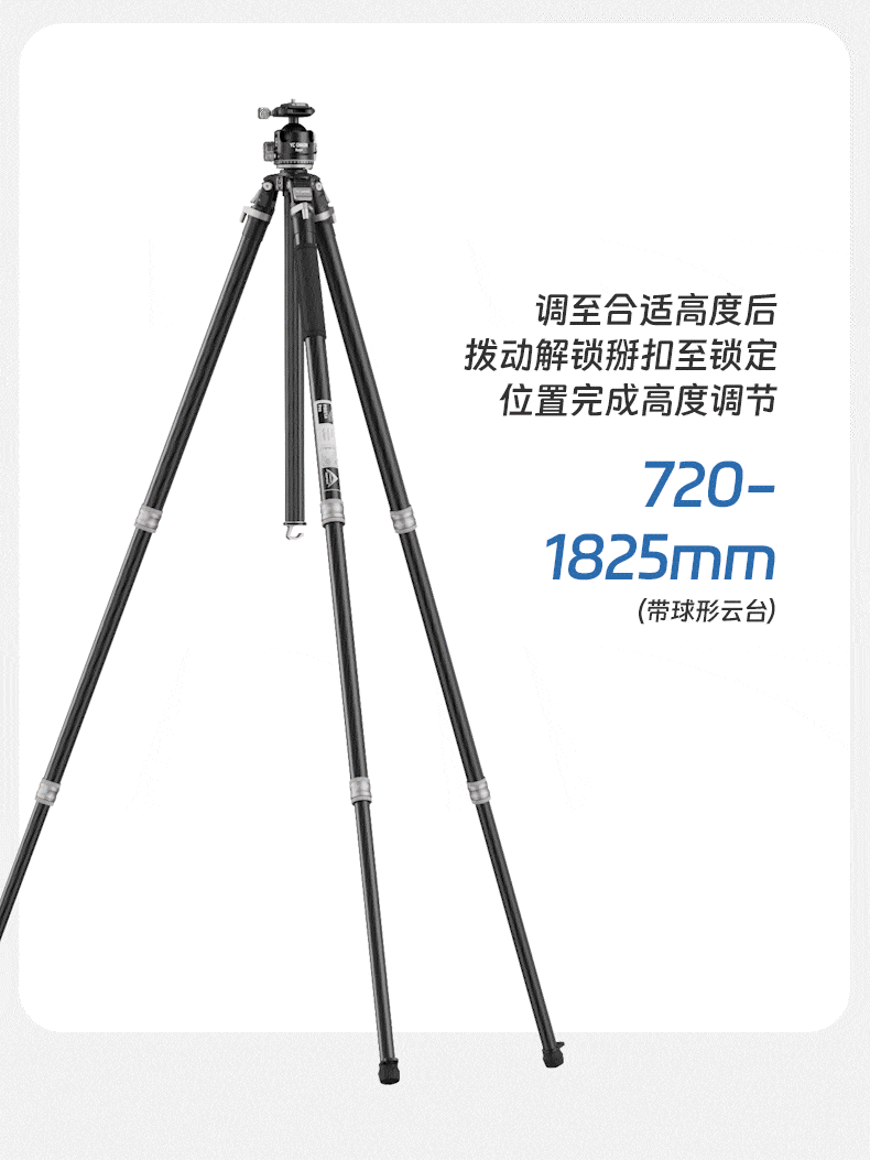 yconion-t23-05.gif