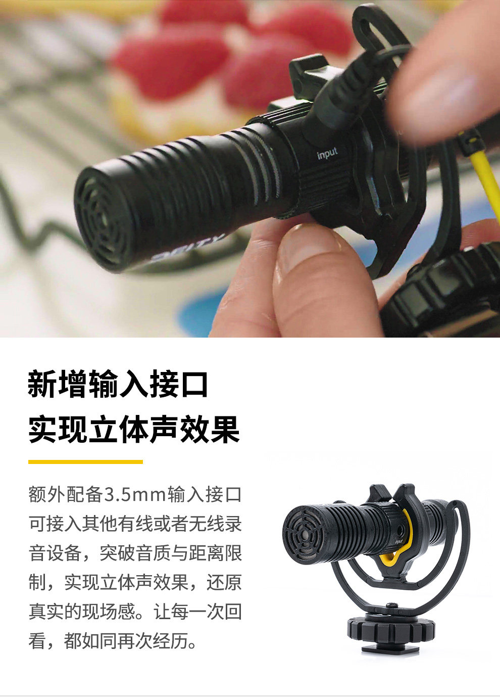 Deity V-Mic D4 Duo 圖文描述 07