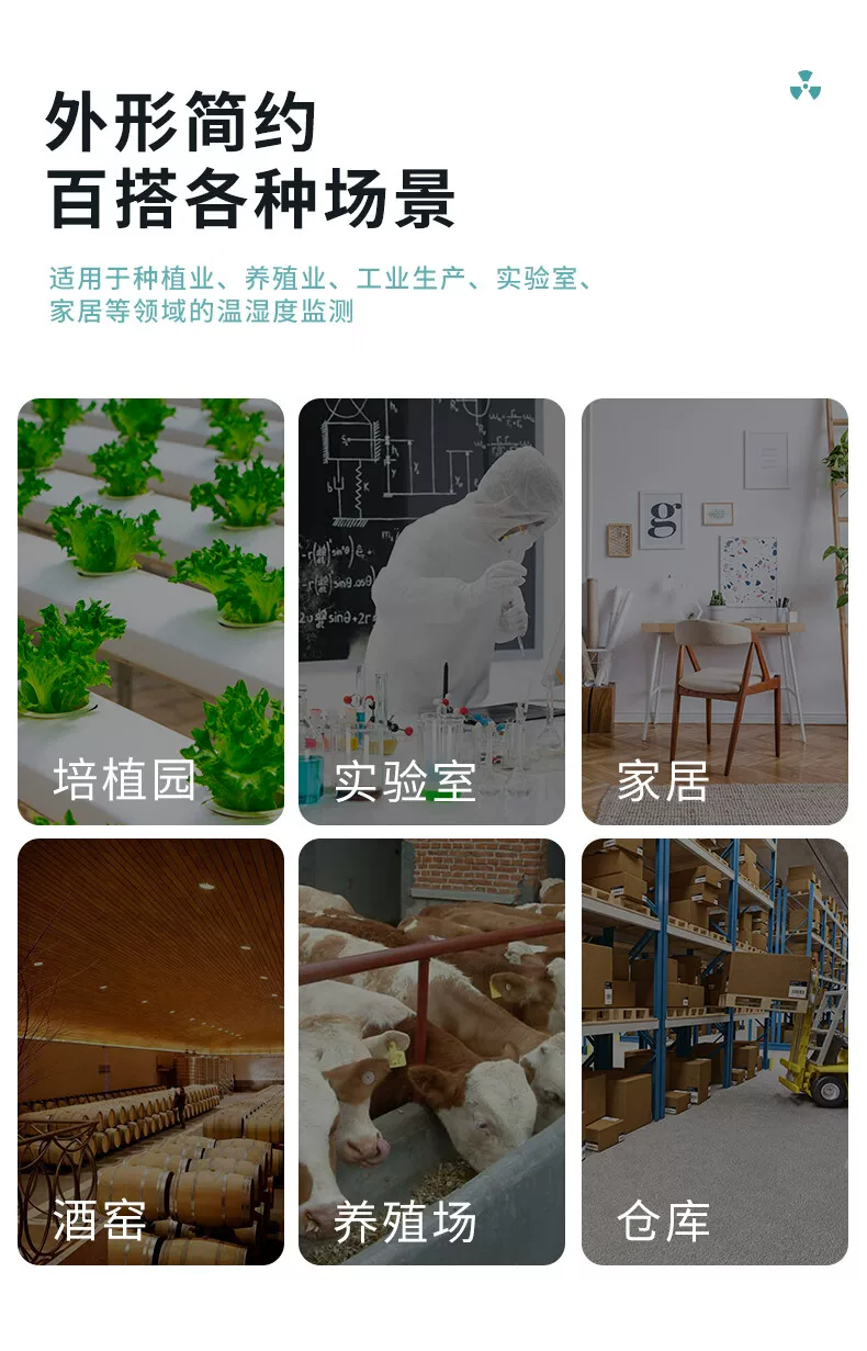 Testo 608-H1 溫濕度計圖文描述 03