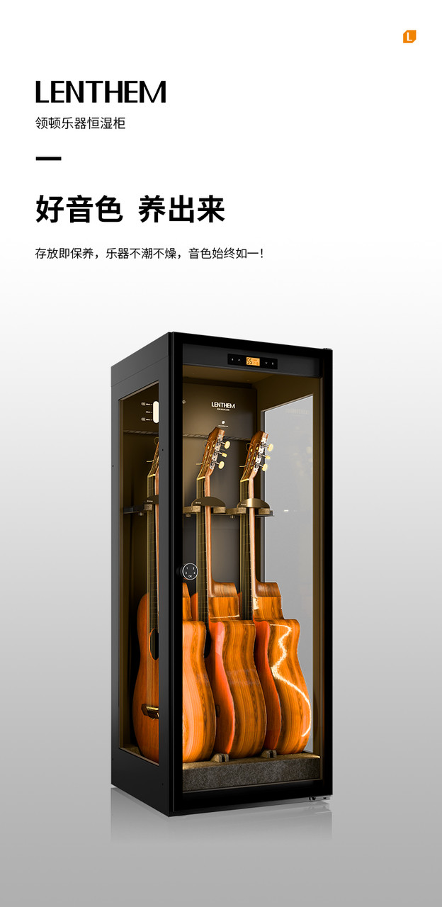 Lenthem 領頓 DMI-305DT 樂器防潮櫃官方圖文 01