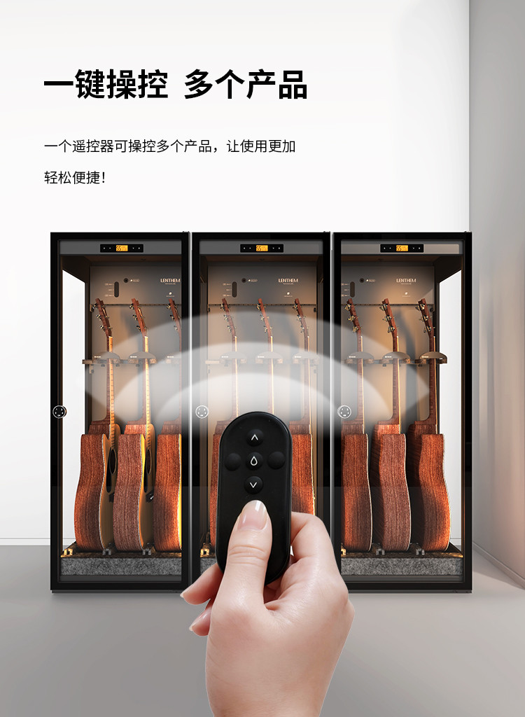Lenthem 領頓 DMI-305DT 樂器防潮櫃官方圖文 05