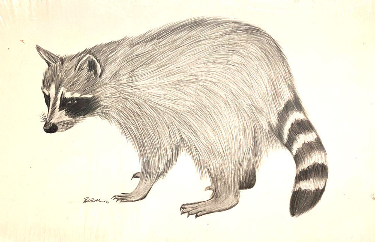 Pencil, Pen & Ink, Markers, etc