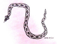 SNAKES