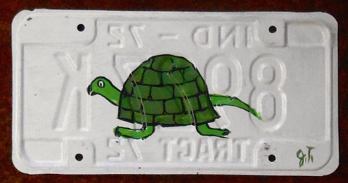TURTLE License Plate by John Taylor (Facing Left)