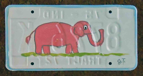 Elephant License Plate by John Taylor