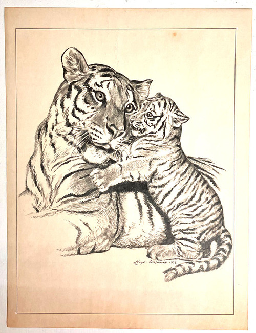TIGER & BABY - PENCIL DRAWING - by Lloyd Ostendorf