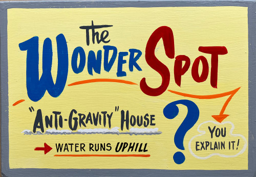 WONDER SPOT - ANTI-GRAVITY HOUSE. (42)