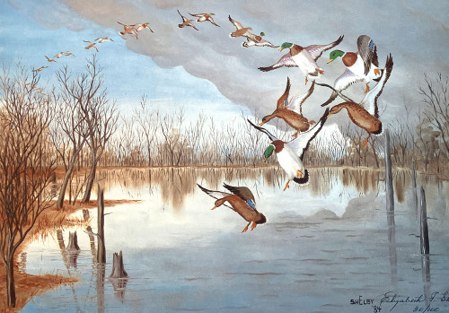 "LANDING DUCKS" ARTPRINT --  Limited Edition 31/100