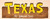 TEXAS WALL PLAQUE with CUT OUT LETTERS