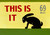 RT 66 - THIS IS IT - RABBIT -- (30)