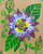 PASSIONFLOWER JUBILEE by Sarah Phelps