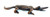 ALLIGATOR CARVING