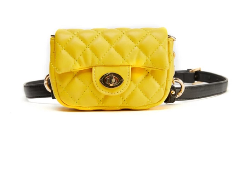 designer inspired fanny pack