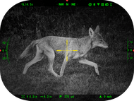 Embrace the Night: The Power of Night Vision and Thermal Scopes for Hunting