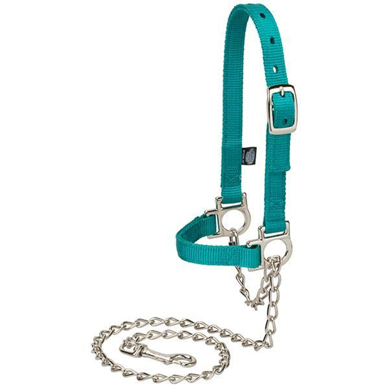 Nylon Adjustable Sheep Halter with Chain Lead - Weaver Livestock