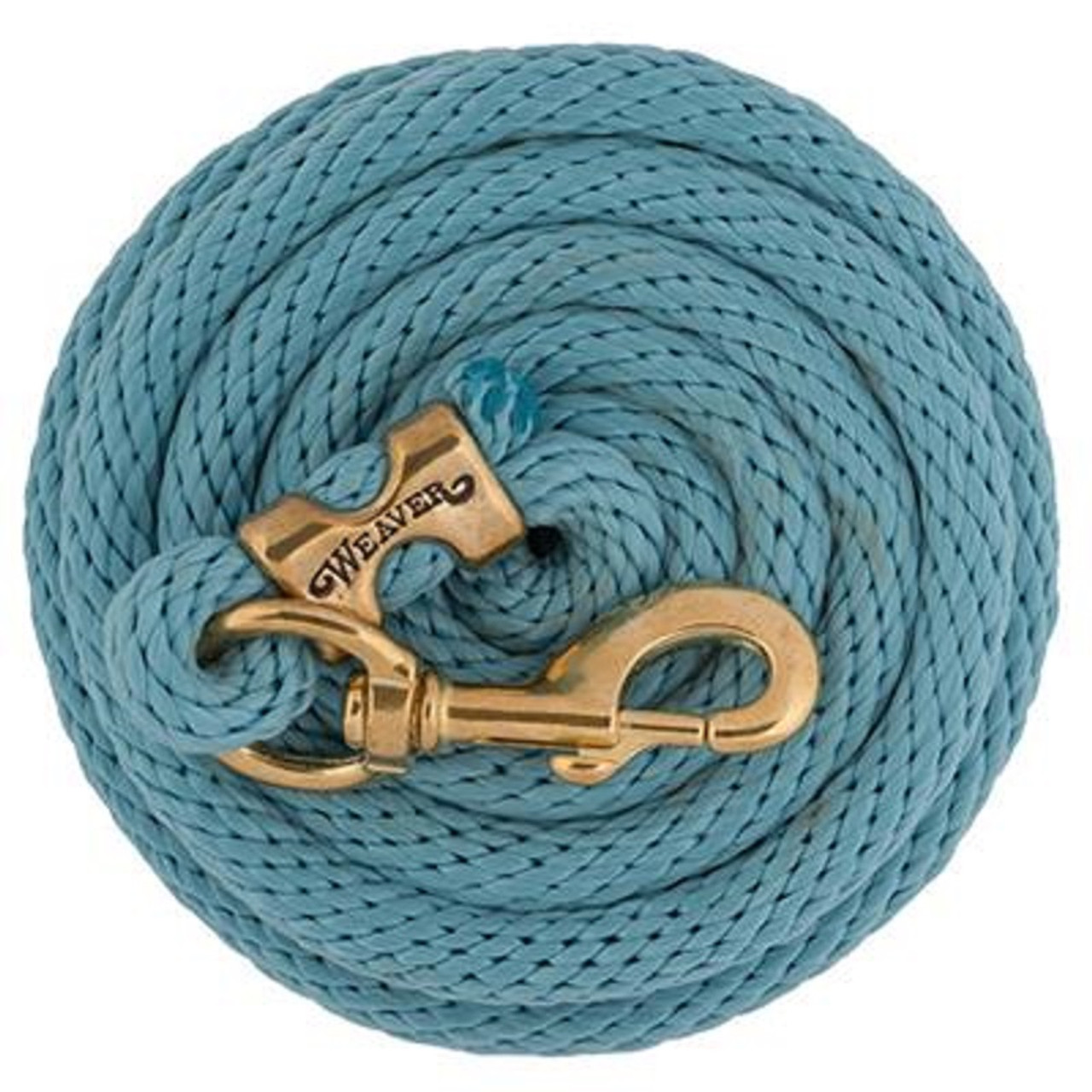 5/8 x 10' Weaver Poly Lead Rope