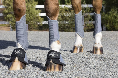 Professional's Choice Spartan Bell Boots (Shown on Horse)