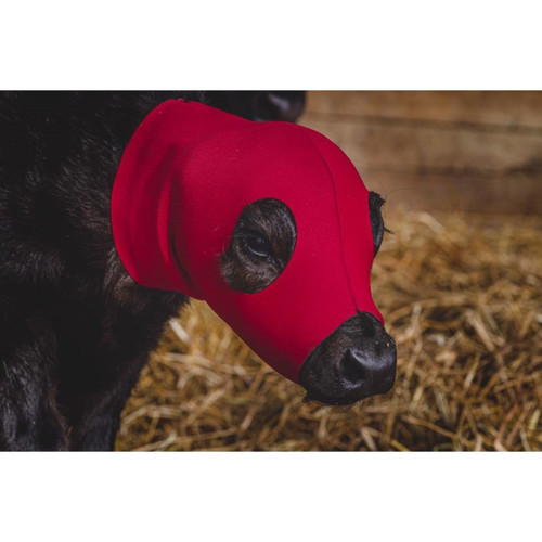 Bala-Calfa, Bovine Balaclava