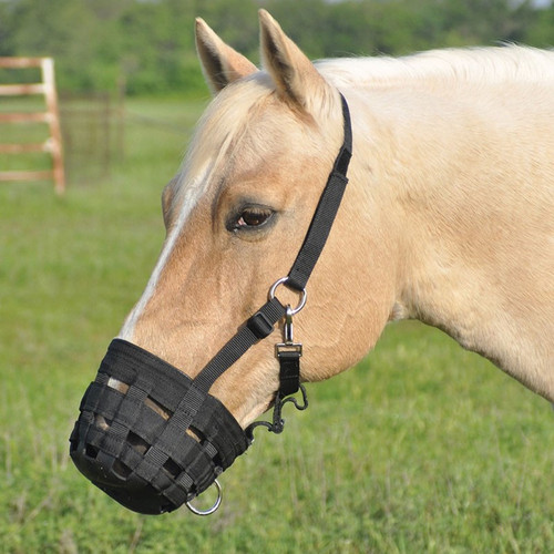 True North Grazing Muzzle