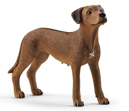 Schleich Rhodesian Ridgeback