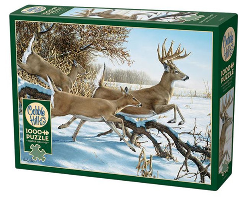 Breaking Cover Puzzle
