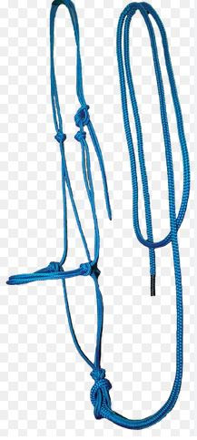 Trail Halter with Lead